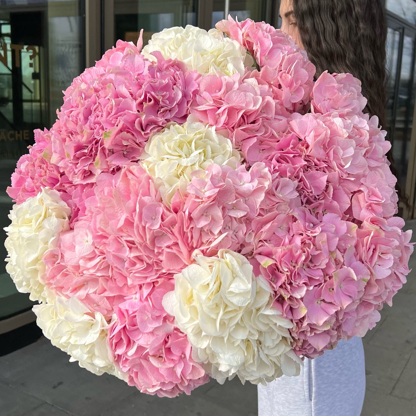 Hydrangea mix