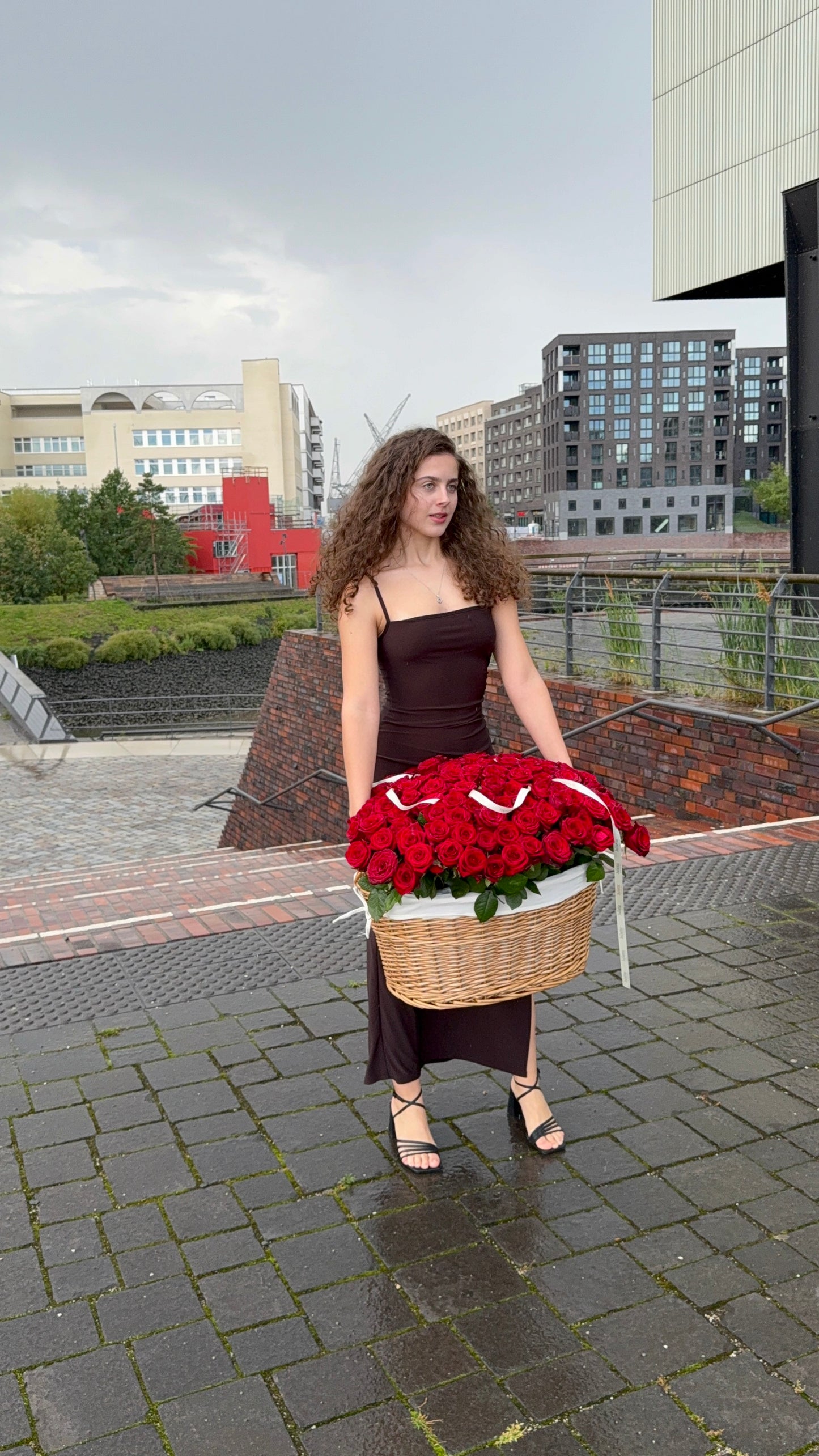 Premium red roses