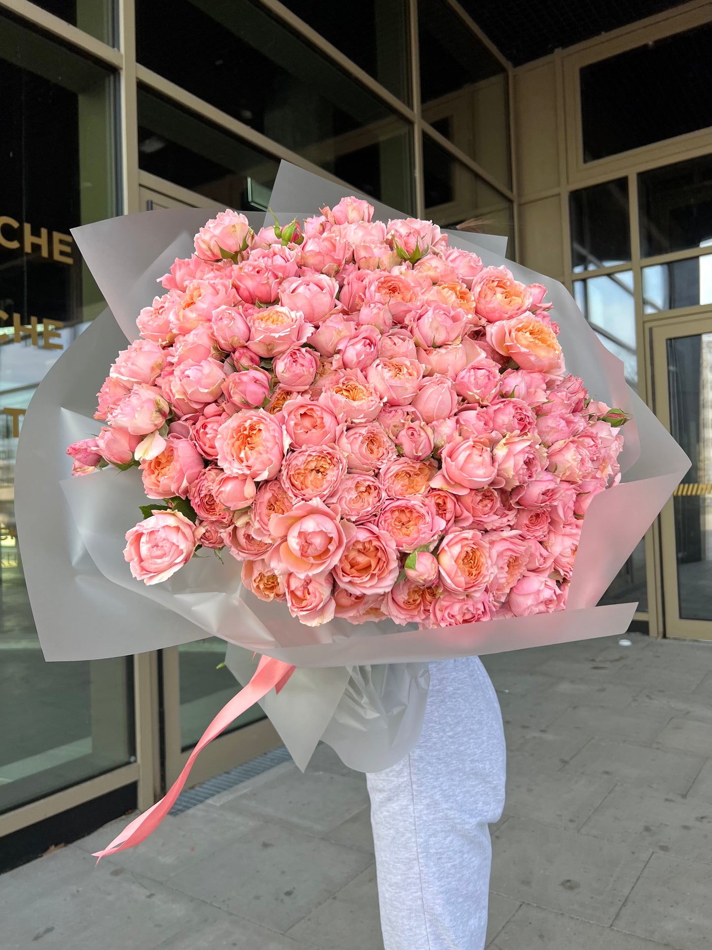Bush roses