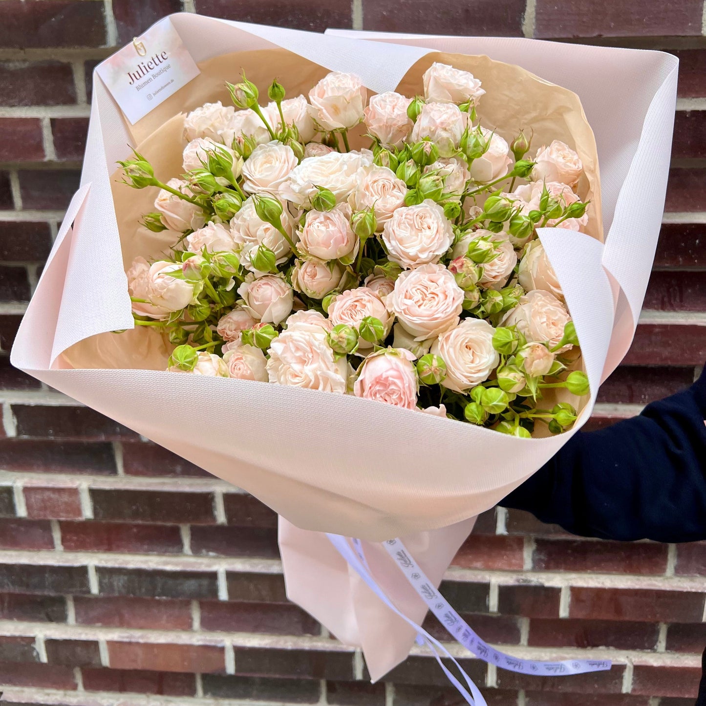 Pink bush roses